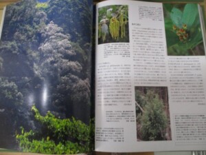 世界の植物　内容１