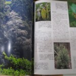 世界の植物　内容１