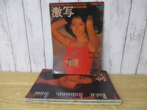 激写 別冊BIG GORO