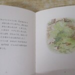 ピーターラビット 内容