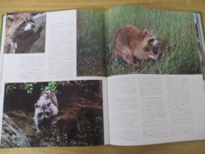 世界動物百科 内容1