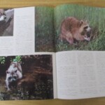 世界動物百科 内容1