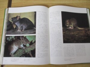 世界動物百科 内容2