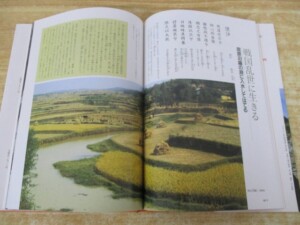 漢詩で詠む中国歴史物語 内容