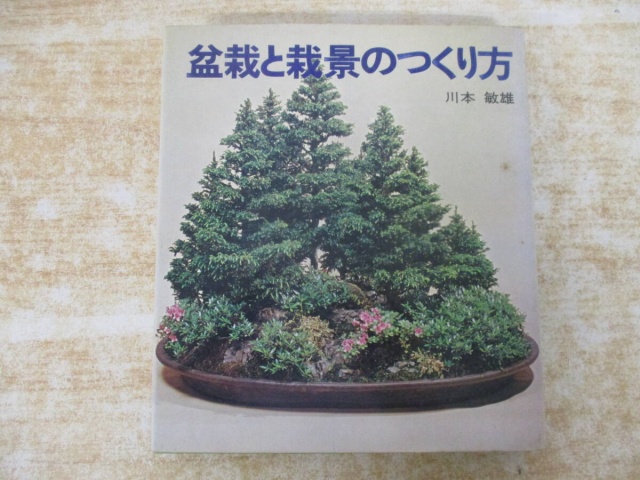 盆栽と栽景のつくり方