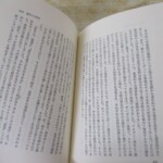 ベールの彼方の生活 内容