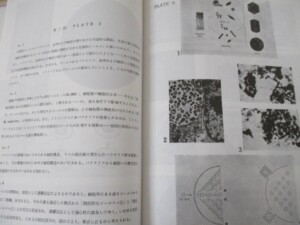 血球の起源 内容1