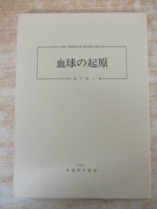 血球の起源