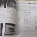 CAP 内容