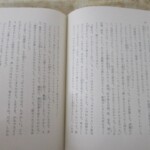 プリデイン物語 内容